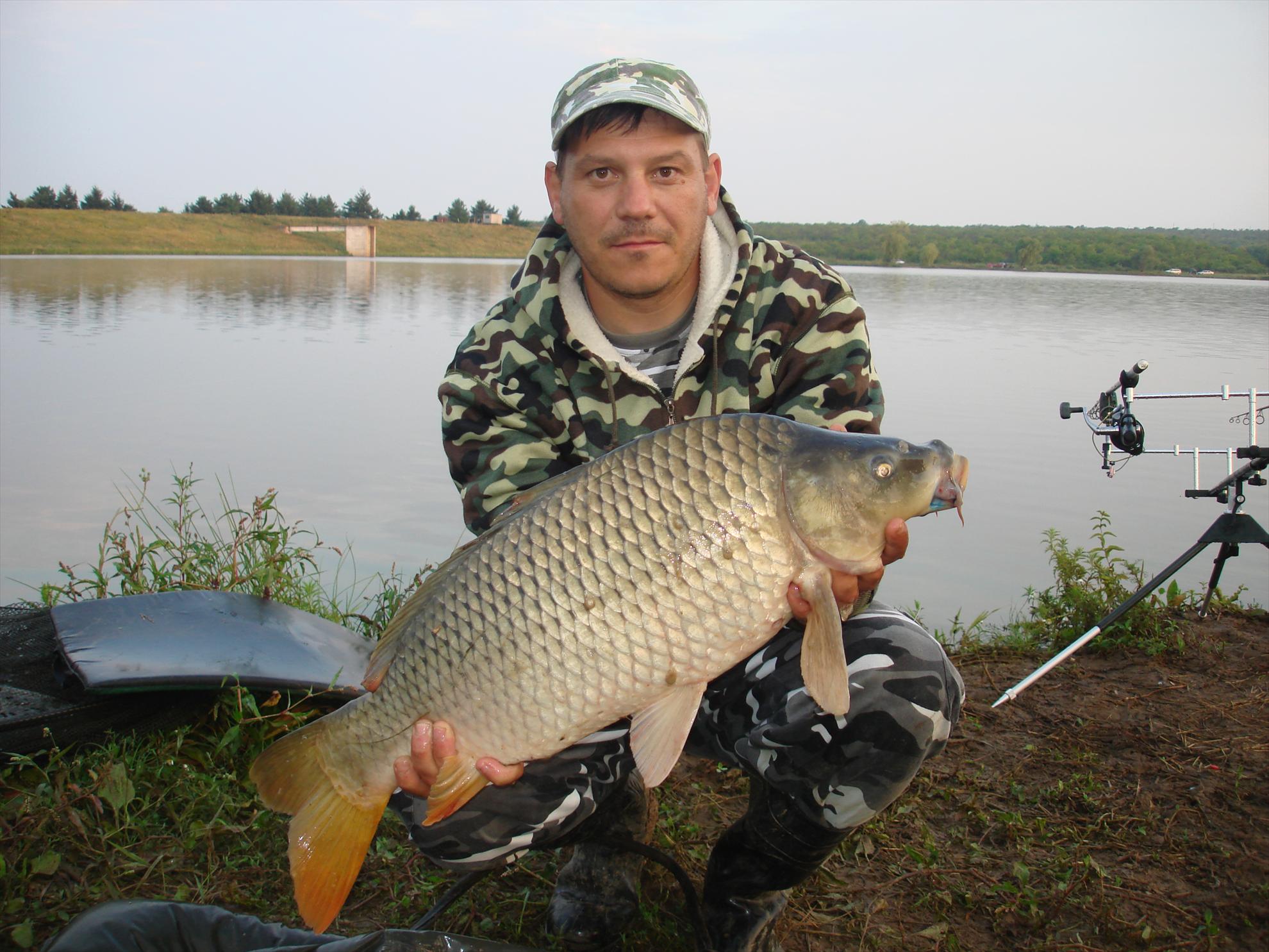 balta de la Topolavatul Mare - dsc03697.JPG